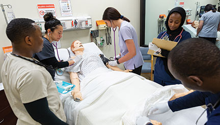 LPN simulation lab 